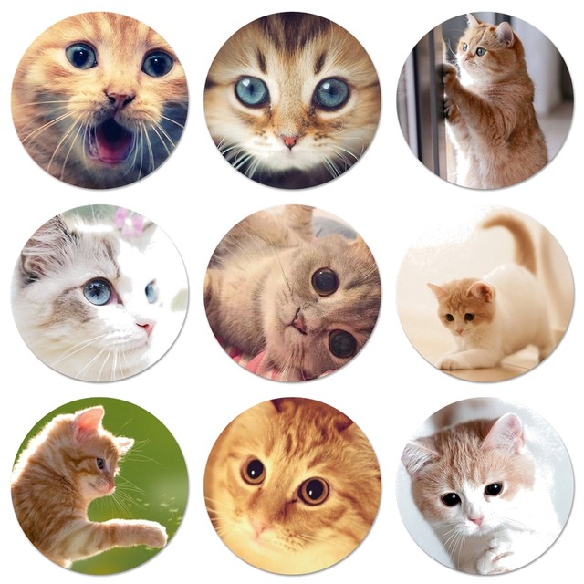 Funny cute animal cat Icons Pins Badge Decoration Brooches Metal